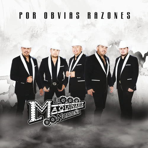 Por Obvias Razones (Album Version)