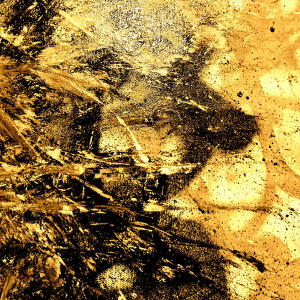 收聽Loksr的GhostShell (FrogLoops) (feat. Diabetic, Mic Midas & Dorsal) (Explicit)歌詞歌曲