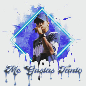 收聽El Gabo的Me Gustas Tanto歌詞歌曲