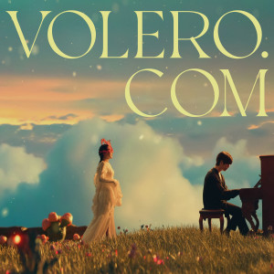volero.com dari 수영