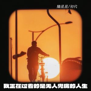 Album 我正在过着的是无人兜底的人生 from 陆星星
