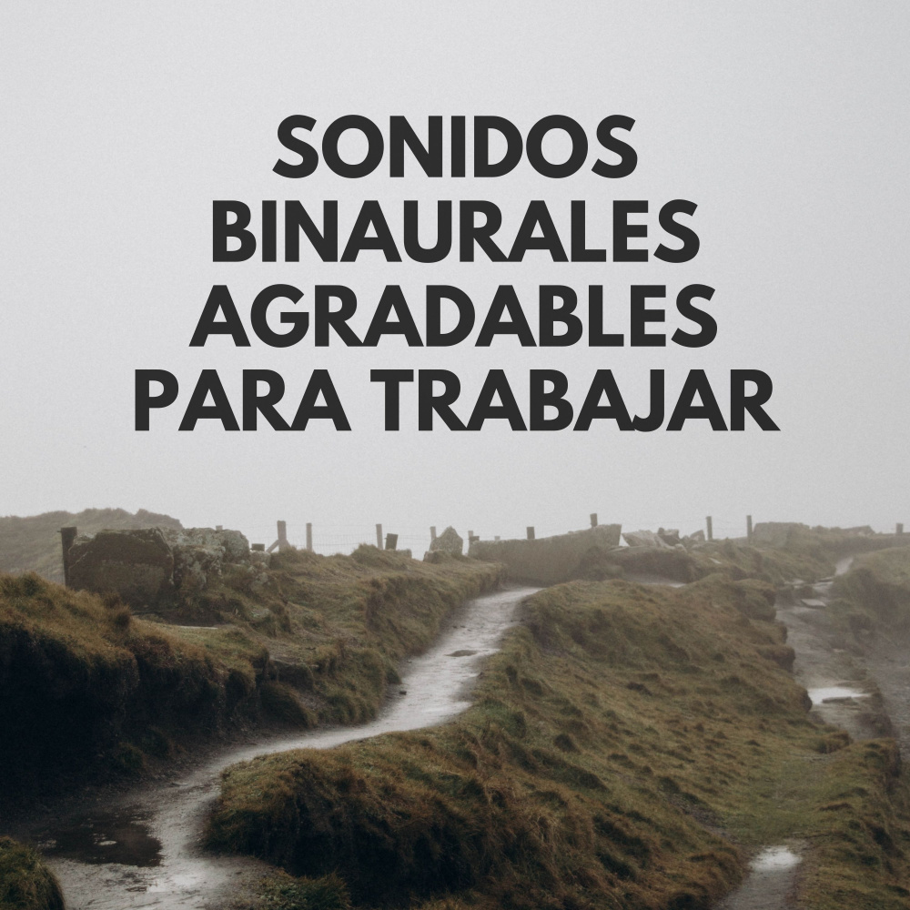 Lista De Reproducción Para Trabajo En Equipo