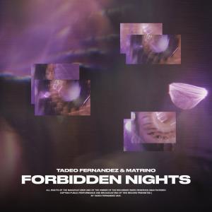 收聽Tadeo Fernández的Forbidden Nights (feat. Matrino)歌詞歌曲