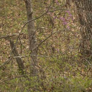 Listen to white people flow song with lyrics from Anthony Hwozdek
