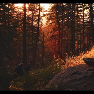 ดาวน์โหลดและฟังเพลง Pure Imagination พร้อมเนื้อเพลงจาก Relaxing Spa Music