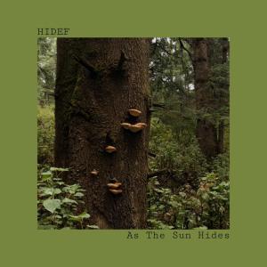Listen to As The Sun Hides song with lyrics from HiDef
