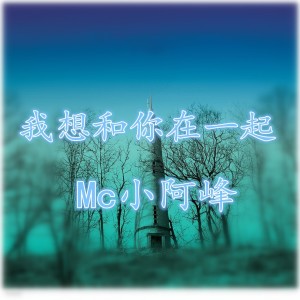 收听MC小阿峰的这首歌我送给你歌词歌曲