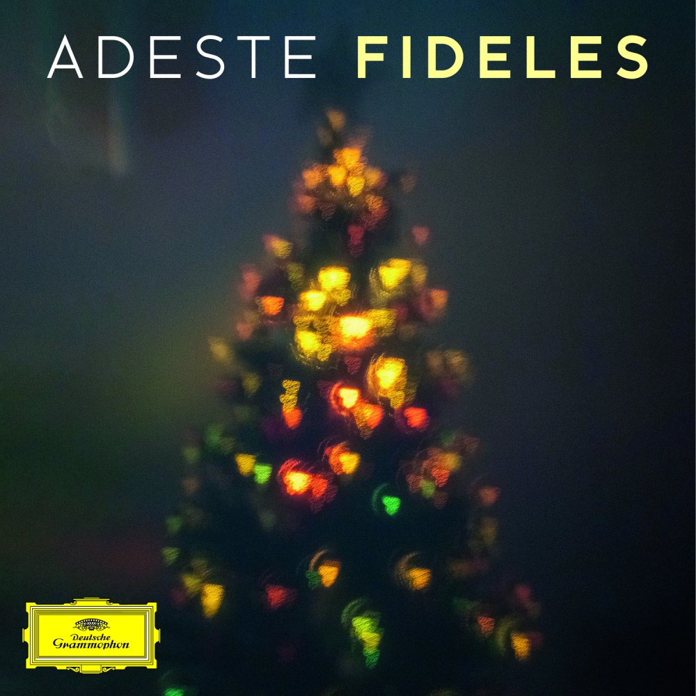 J.S. Bach: Christmas Oratorio, BWV 248 / Part Two - For the second Day of Christmas: No. 19 Aria (Alto) : "Schlafe, mein Liebster, geniesse der Ruh"
