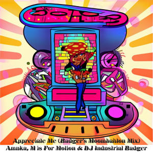 อัลบัม Appreciate Me (feat. DJ Industrial Badger & M is For Motion) [Badger's Moombah Mix] ศิลปิน Amuka