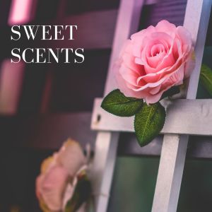 Guevara Goo的專輯Sweet Scents
