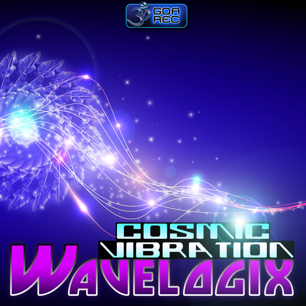 Cosmic Vibration (Original Mix)