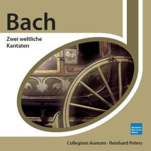 Siegmund Nimsgern的專輯Bach: Zwei weltliche Kantaten