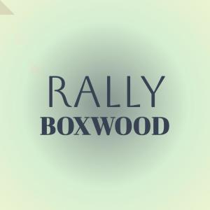 Dengarkan lagu Gilbert Gladius nyanyian Nichoy Kien dengan lirik