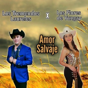 收聽Los tremendos laureles的Amor Salvaje歌詞歌曲