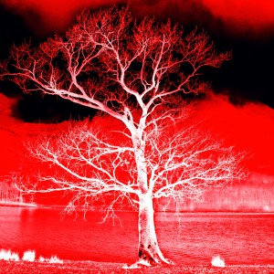 Album EMPTINESS from 