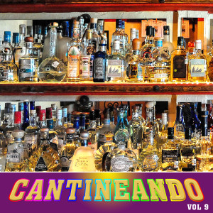 Listen to Cuando Te Conocí song with lyrics from Francy