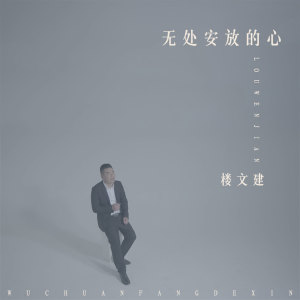 收聽樓文建的無處安放的心歌詞歌曲