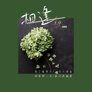 Listen to 相逢 (治愈版) song with lyrics from 王卓