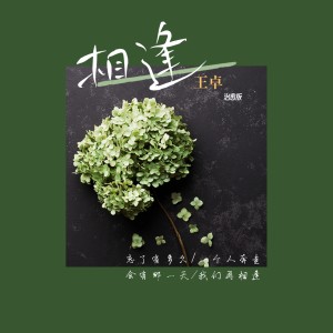 อัลบัม 相逢 (治愈版) ศิลปิน 王卓