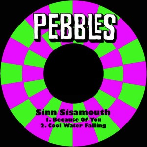 收聽Sinn Sisamouth的Because of You歌詞歌曲