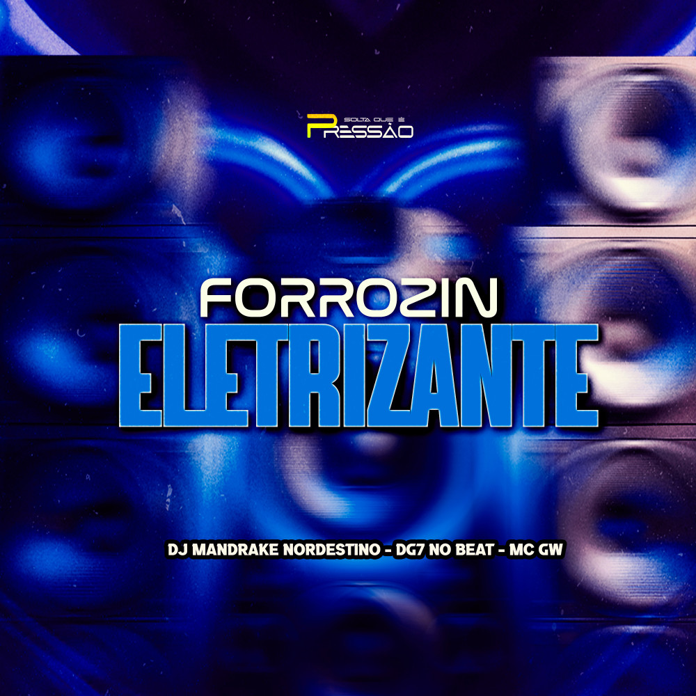 Forrozin Eletrizante (Explicit)