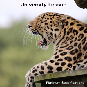 Dengarkan University Lesson lagu dari Platinum Specifications dengan lirik