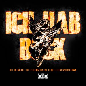 Die Gebrüder Brett的專輯Ich hab Bock (Explicit)