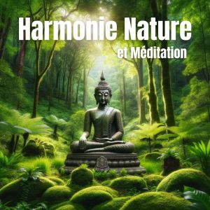 Listen to Flots de Sérénité song with lyrics from Sophrologie Musique D'ambiance