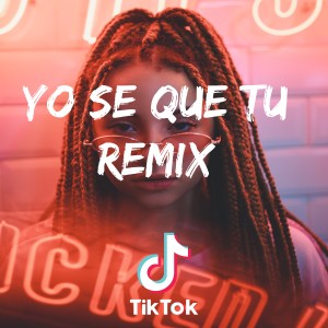 Album Yo Se Que Tu (Remix) from Dj TikTok Viral