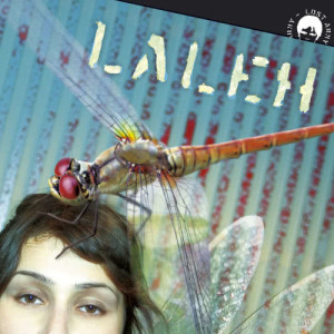 ดาวน์โหลดและฟังเพลง Invisible (My Song) พร้อมเนื้อเพลงจาก Laleh