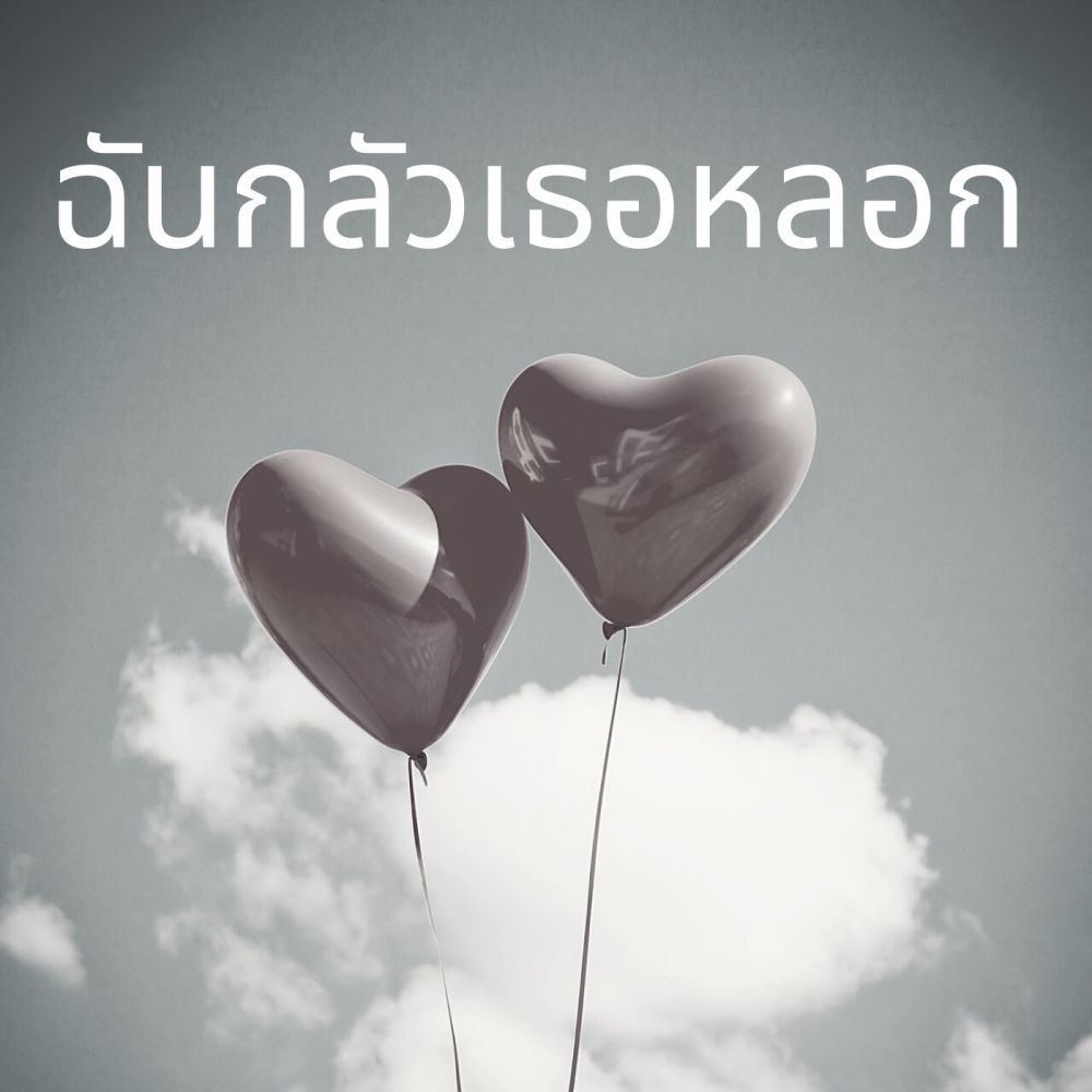 ฉันกลัวเธอหลอก (Remix)