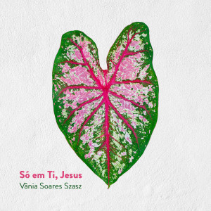 收聽Vânia Soares Szasz的Só em Ti, Jesus歌詞歌曲