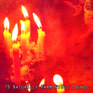 Album 79 Naturally Harmonious Sounds oleh Spiritual Fitness Music