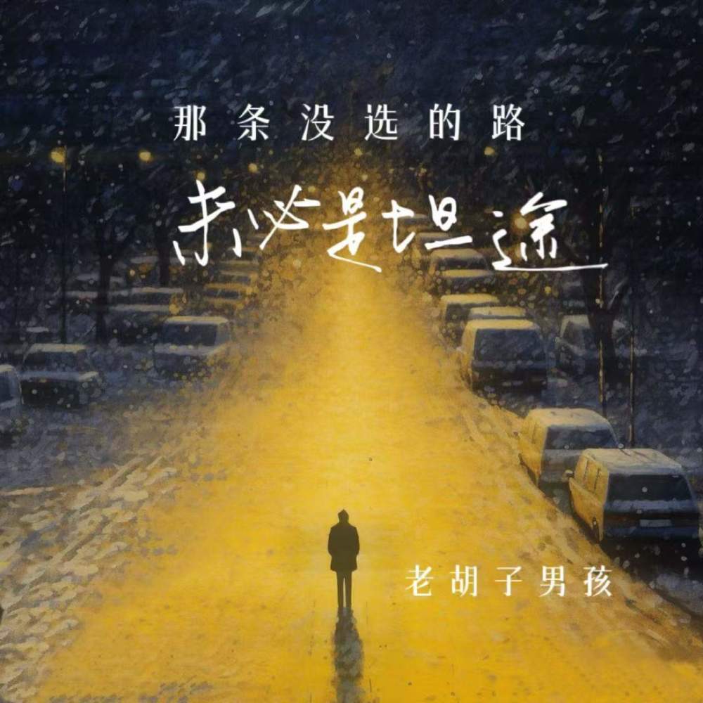 那条没选的路 未必是坦途 (伴奏)