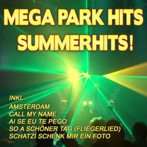 Album Mega Park Hits Summerhits! (Explicit) from Various