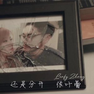 收听Leafy Zhang张叶蕾的还是分开歌词歌曲