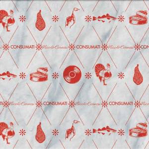 Listen to Consumati song with lyrics from Nicolò Carnesi