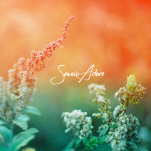 ดาวน์โหลดและฟังเพลง Simple Shapes พร้อมเนื้อเพลงจาก Savoir Adore