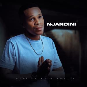 Njandini的專輯Best of both worlds