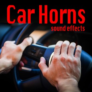 收聽Sound Ideas的Honda Accord Car Horn歌詞歌曲