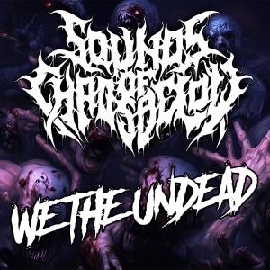 收聽Sounds of Chaos Below的We the Undead (feat. Redouane Aouameur)歌詞歌曲