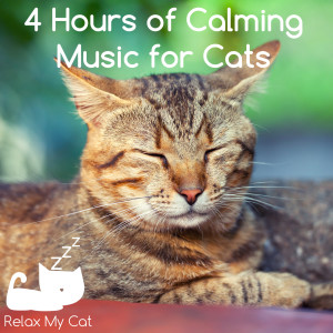 Listen to Sleeping Cat song with lyrics from RelaxMyCat