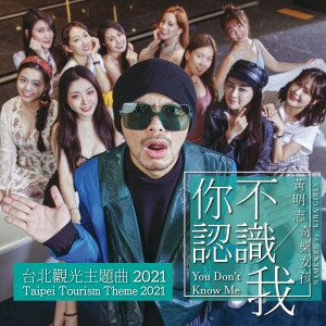 Listen to 你不认识我 (台北观光主题曲2021) song with lyrics from Namewee