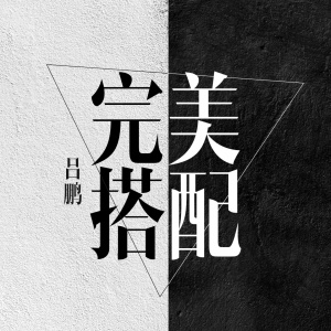 ดาวน์โหลดและฟังเพลง 完美搭配 พร้อมเนื้อเพลงจาก 吕鹏