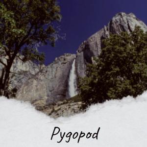 Various的专辑Pygopod