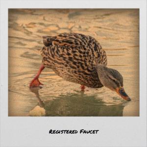 收聽Reyy Hils的Qualified Faucet歌詞歌曲