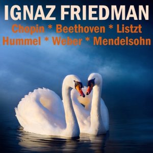 Ignaz Friedman的專輯Chopin, Beethoven, Liszt, Hummel, Weber & Mendelssohn