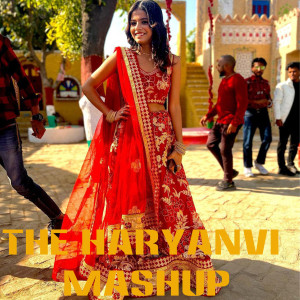 The Haryanvi Mashup