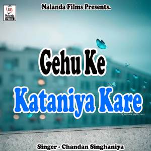 收聽Chandan Singhaniya的Gehu Ke Kataniya Kare歌詞歌曲