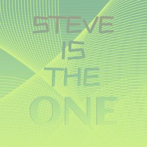 收听Vico Torriani的Bella Venezia歌词歌曲